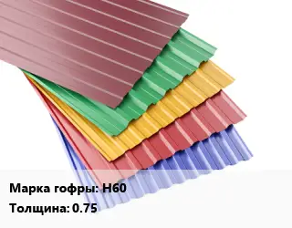 Профнастил с полимерным покрытием Н60 s=0.75